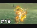 【ゆっくり実況】ゼルダの伝説BotW 4縛り#19