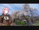ちょっと景色を見に行こう　#9【桜巡り2023】