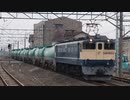 EF65 2081号機 国鉄特急色