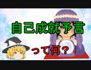 自己成就予言って何？【魔理沙と霊夢のゆっくり経済じゃない教室】#ゆっくり解説 #ソフトウェアトーク