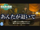 俺のこと誰だと思ってる？ #6【ゼルダの伝説 ティアーズオブザキングダム】ティアキン