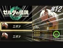 エポナが2匹に増殖⁉【ゼルダの伝説 ティアーズ オブ キングダム】実況プレイ part12