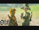 【実況】空の島から始まる新たな冒険【ゼルダの伝説 ティアーズ オブ ザ キングダム】part13