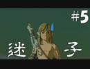 【ゼルダの伝説ティアーズ・オブ・ザ・キングダム】広すぎて迷いそう【ゆっくり実況】Part5
