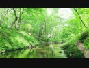 オリジナル曲 「behind me」 Original Music