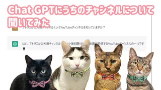 ChatGPTにうちのチャンネルを知っているか聞いてみた