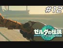 【ティアキン】風の神殿と風の賢者 ゼルダの伝説 ティアーズオブザキングダム Part12【ゲーム実況】