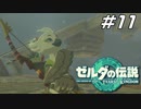 【ティアキン】チューリとともにリトの異変の調査へ ゼルダの伝説 ティアーズオブザキングダム Part11【ゲーム実況】