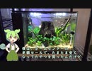 ずんだもんと学ぶラクテリアの使い方