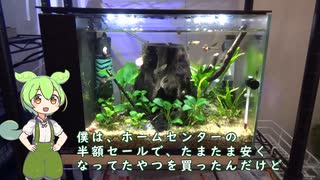 ずんだもんと学ぶラクテリアの使い方