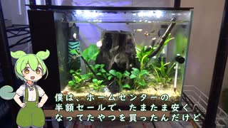 ずんだもんと学ぶラクテリアの使い方