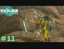 目が良すぎではありませんか？　「ゼルダの伝説～ティアーズ・オブ・ザ・キングダム」　＃11