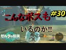 キングギドラみたいなボスいた【TEARS OF THE KINGDOM】＃30