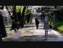 ゆかり旅【Photo Diary 桜】