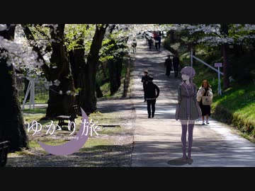 ゆかり旅【Photo Diary 桜】