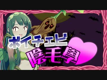 ボイチェビ陰毛學Part1