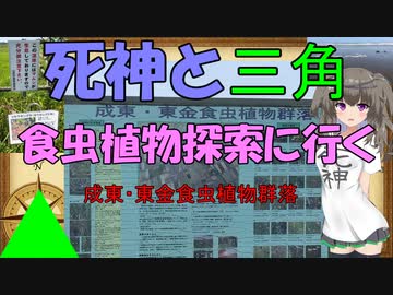 死神と三角　食虫植物探索に行く