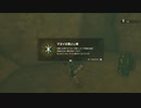#124,ゼルダの伝説ティアーズオブザキングダム