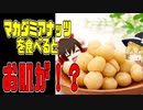 【ゆっくり解説】マカダミアナッツの栄養について解説！