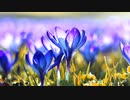 #チ＊ユ＊リ #長山＊知由理