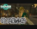 下にも世界があったのか #7【ゼルダの伝説 ティアーズオブザキングダム】ティアキン