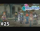 #25【テイルズオブリバース】目指せシリーズ制覇！君が生まれ変わるRPG、TORを完全初見で楽しむ！！【TALES OF REBIRTH】【実況】