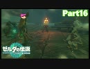 【16】ぼっち勇者の天空探検【ゼルダの伝説ティアーズオブザキングダム】