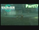 【17】ぼっち勇者の天空探検【ゼルダの伝説ティアーズオブザキングダム】