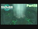 【18】ぼっち勇者の天空探検【ゼルダの伝説ティアーズオブザキングダム】