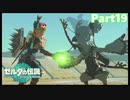 【19】ぼっち勇者の天空探検【ゼルダの伝説ティアーズオブザキングダム】
