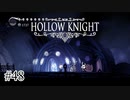 ゾートの57の教え【Hollow Knight】#48