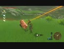 ホモと見るBotWの仕様に弄ばれるイーガ団
