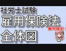 【社労士試験】雇用保険法の体系図を一緒に勉強しましょう！