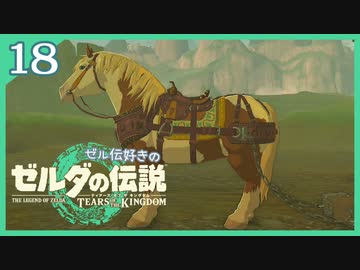 #018【ゼルダの伝説ティアーズオブザキングダム】ちょっと世界を翔けてくる【実況プレイ】