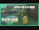 #019【ゼルダの伝説ティアーズオブザキングダム】ちょっと世界を翔けてくる【実況プレイ】