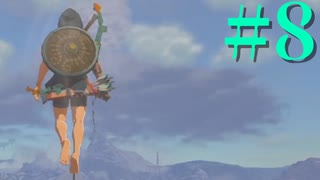 #8【実況】避難壕だけに！？！？【ゼルダの伝説TotK】