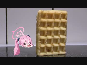 蚊ユキwithワッフル