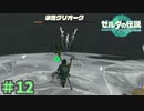 上空の戦いはエグイって　「ゼルダの伝説～ティアーズ・オブ・ザ・キングダム」　＃12