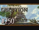 実況 ◇ The Elder Scrolls IV: オブリビオン ◇ 第250幕