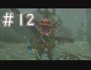 【ゼルダの伝説ティアーズオブザキングダム】#１２　顔がすごいけどサムネにするね？