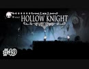 もうひとりの自分…？【Hollow Knight】#49