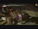 MHR_part89_傀異討究-クシャルダオラLv289