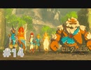 【ゼルダの伝説BotW】出遅れ男の初見BotW #14【実況プレイ】