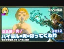 ▲再びハイラルの光になってくるわ#012【のんびり観光実況】