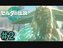 物語の舞台は空島へ【ゼルダの伝説 ティアーズ オブ ザ キングダム実況】＃２