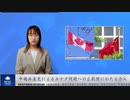 中国共産党によるカナダ問題への広範囲にわたる介入