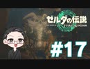 【実況プレイ】 ゼルダの伝説 ティアーズオブザキングダム part17 【いちご大福】