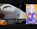 次は水中ブリッヂ３分間、できるか？