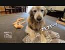【第144回】お茶もみとイタズラと金ちゃんヌードルとメンマ