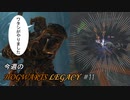 【ホグワーツレガシー】今週のHOWGWARTS LEGACY #11